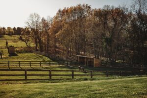 Horseback riding lessons in Howard County