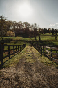 Activities for kids in Howard County