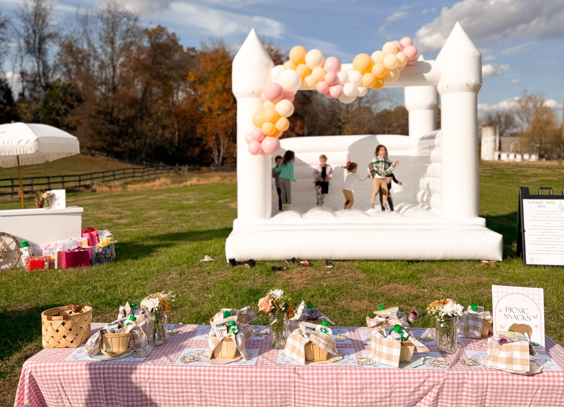 Howard County Birthday Party Ideas