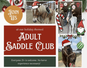 Horseback riding lessons in Howard County