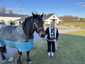 horseback riding in Howard County