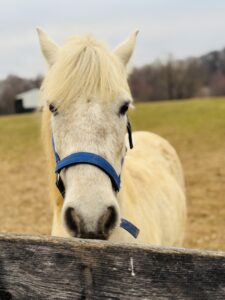 Howard County summer camps