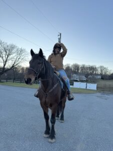 horseback riding in Howard County