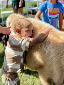 summer camps near Ellicott City