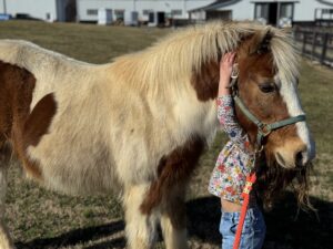 horse riding lessons near Ellicott City