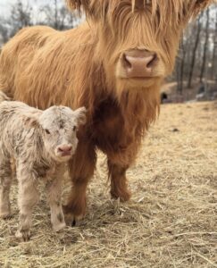 Summer Camp near Ellicott City