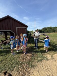 Activities for Girl Scouts in Howard County